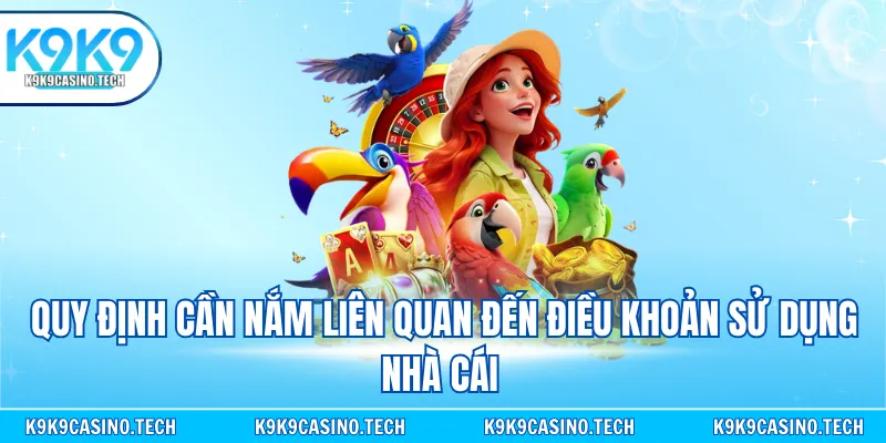 Quy định cần nắm liên quan đến điều khoản sử dụng nhà cái 